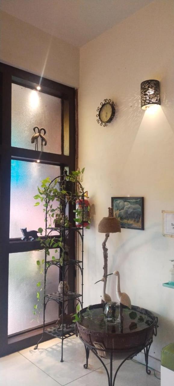 Rangbaari Stays & Cafe Jodhpur  Bagian luar foto